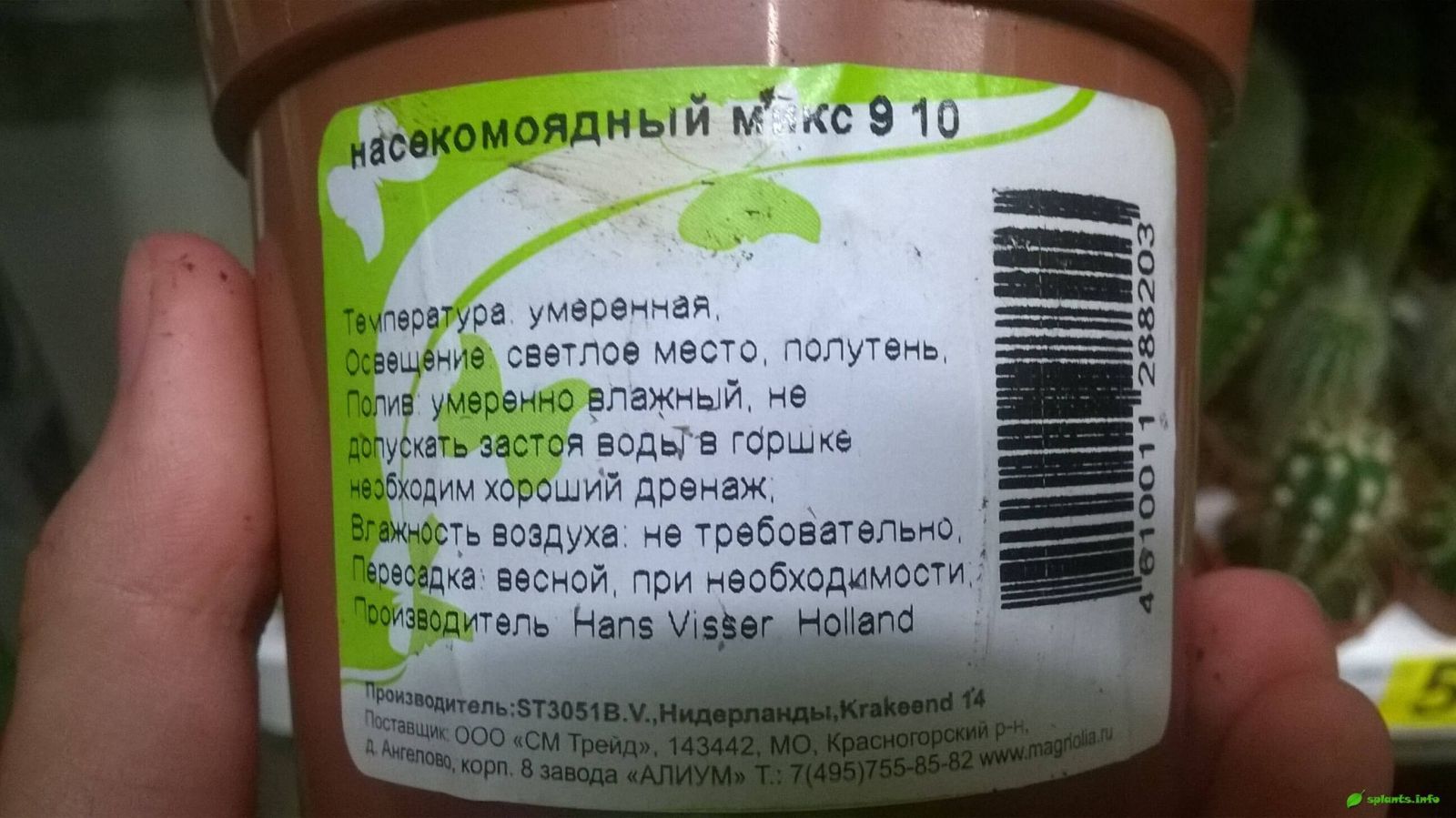 насекомоядные растения