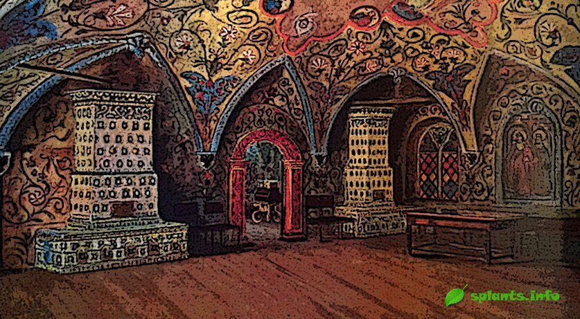 История растений: цветы в Древней Руси